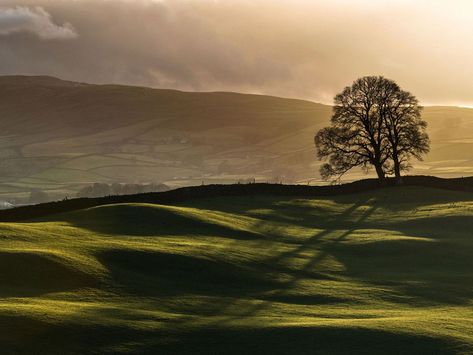 14 pictures of Yorkshire that are so beautiful it hurts Noncopyrighted Images, Yorkshire Photography, Yorkshire Countryside, English Scenery, Yorkshire Landscape, Fountains Abbey, Bike Route, Beautiful Landscape Photography, Fine Art Landscape Photography