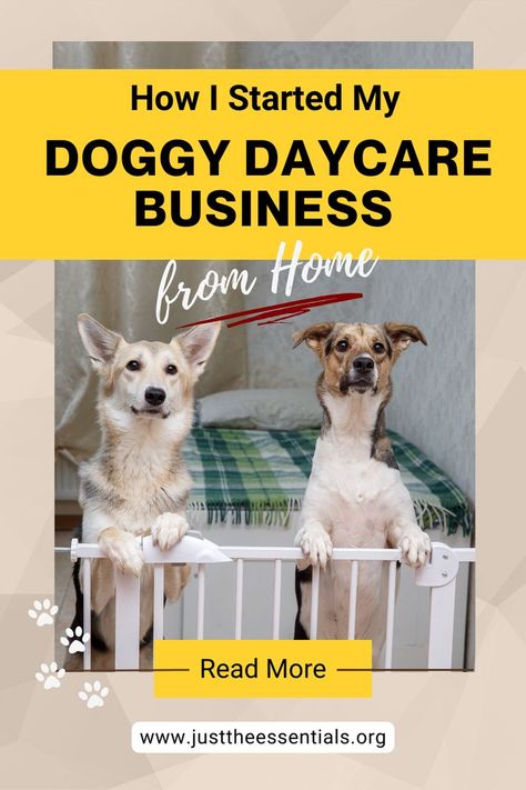 2 dogs in a doggy daycare. Opening A Dog Kennel Business, Dog Daycare Business Plan, Pet Boarding Business Ideas, Doggie Daycare Ideas Business, Doggie Daycare Ideas, Doggy Daycare Ideas, Doggy Daycare Business, Kennel Business, Dog Daycare Business