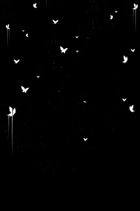 Lighting Butterfly Png, Light Butterfly Png Editing, Light Background Images Png, Png Editing Images, Editing Png All, Black Effect Png, Butterfly Png Editing, Best Png For Editing, White Butterfly Background