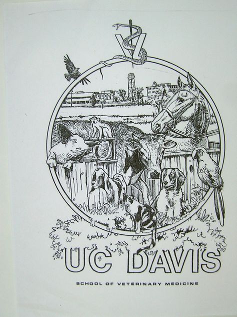 UC Davis vet school t-shirt design Uc Davis Veterinary Medicine, Uc Davis Vet School, Uc Davis Aesthetic, Alaina Core, College Vision Board, Medical Wallpaper, Uc Davis, Vet School, Dorm Inspo