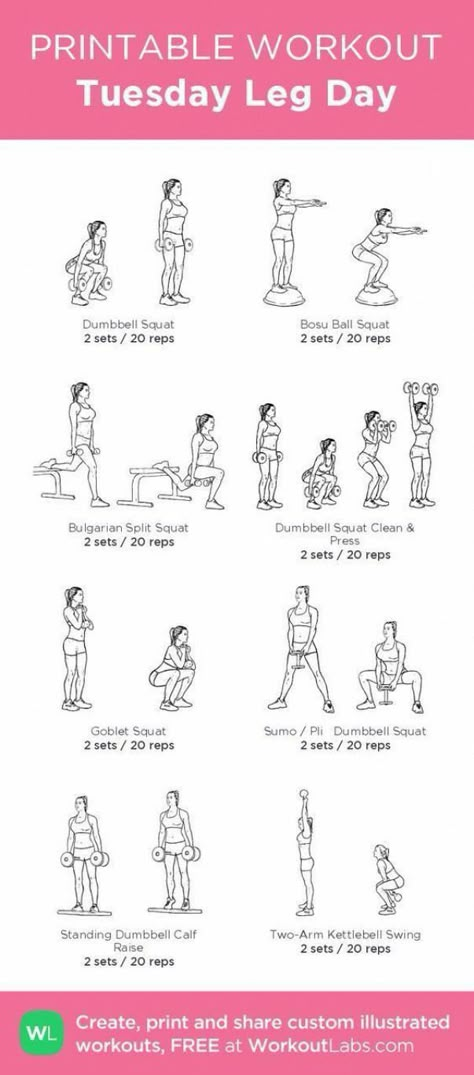 Planning Sport, Women Gym Workouts, Leg Workout Plan, Workouts Women, Workout Labs, Leg Workouts Gym, Fitness Studio Training, Workout Gym Routine, Gym Workout Plan