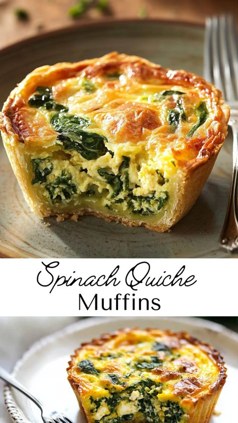 These Spinach Quiche Muffins are the ultimate addition to your winter dinner recipes. Made with fresh spinach, creamy cheese, and fluffy eggs, they’re perfect for Friendsgiving food ideas, brunches, or winter meals dinners. Enjoy them as a wholesome snack or pair them with soup for a hearty meal. Spinach And Swiss Quiche, Mini Spinach Quiche Recipes Easy, Spinach Egg Pie, Single Serve Quiche, Croissant Crust Quiche, Easy Vegetarian Quiche, Single Serve Quiche Recipes, Spinach And Artichoke Quiche, Creamy Quiche Recipes