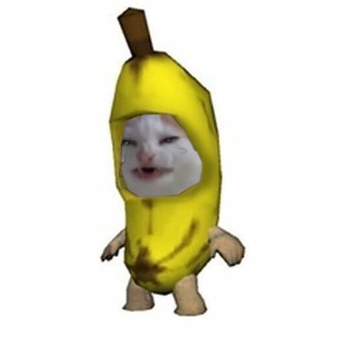 Banana Cat, The Story, Wattpad