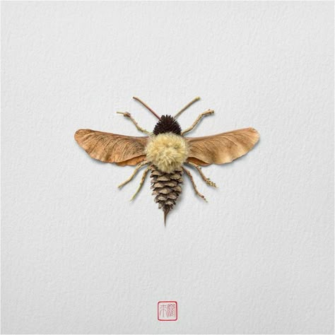 30 Delicate Animal Portraits Created From Things Found In Nature By Raku Inoue Raku Inoue, Dekoratívne Vence, Deco Nature, Cones Crafts, Pine Cone Crafts, Insect Art, Pressed Flower Art, Nature Crafts, Arte Floral