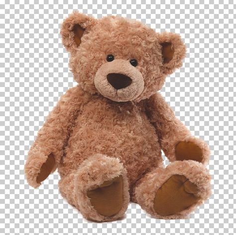 Teddy Bear Png Aesthetic, Bear Png Aesthetic, Homework Inspiration, T Shirt Text Design, Png Teddy Bear, Teddy Bear Art, Png Bear, Teddy Bear Png, Libra Color