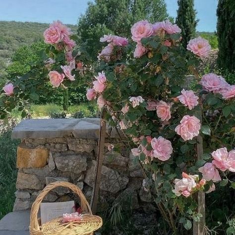 Flower Therapy, Cottagecore Aesthetic, Spring Aesthetic, Spring Vibes, Nature Aesthetic, Love Flowers, Aesthetic Photo, Pink Aesthetic, Pretty Flowers