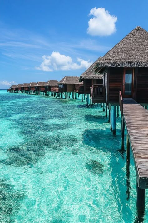 "Dreaming of paradise? 🌴🏝️ Experience ultimate luxury in overwater bungalows in the Maldives! Dive into crystal-clear waters and enjoy breathtaking views right from your private retreat. 🌊✨ #Maldives #OverwaterBungalows #TravelGoals" Maldives Bungalow, Cool Views, Maldives Vacation, Tropical Luxury, Overwater Bungalows, Dream Vacations Destinations, Romantic Vacations, Tropical Destinations, Life Vision Board