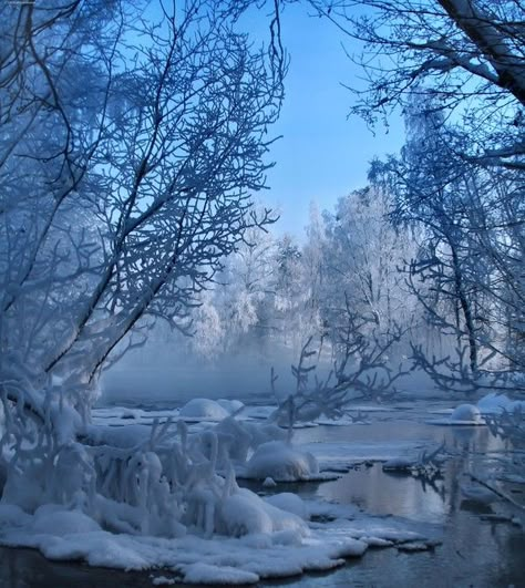 Beautiful snow covered trees and ice and snow on the water. You can feel the freezing air causing your nose to turn red and you cheeks to get frosty! Beautiful Winter Scenes, Beauty Of Winter, Snow Covered Trees, I Love Winter, Ice Snow, Love Winter, Snow Ice, Winter Scenery, Winter Beauty