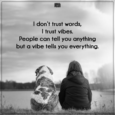 I don’t trust words, I trust vibes. People can tell you anything but a vibe tells you everything. Trust Is Everything Quotes, Trust People Quotes Life Lessons, Trust Is Everything, Not Trusting Quotes, Don't Trust Any People, Don’t Trust People Quotes, I Don’t Trust You Quotes, Trusting People Quotes, Don’t Trust