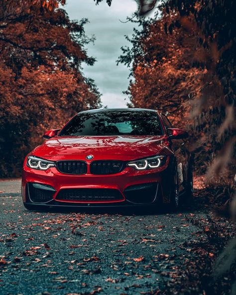 Bmw Red, Carros Bmw, Bmw Wallpapers, Bmw I3, Lux Cars, Bmw Series, New Bmw, Automotive Photography, Best Luxury Cars