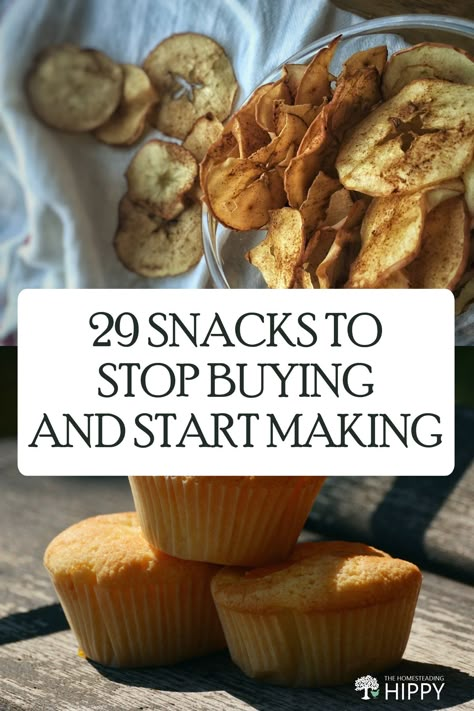 If you don't like to cook but want to eat homemade, these quick snacks recipes are something anyone can make #recipe Homemade School Snacks, Easy Homemade Snacks, Homemade Snacks Recipes, Diy Healthy Snacks, Healthy Homemade Snacks, Homestead Recipes, Scratch Cooking, Natural Snacks, Clean Snacks