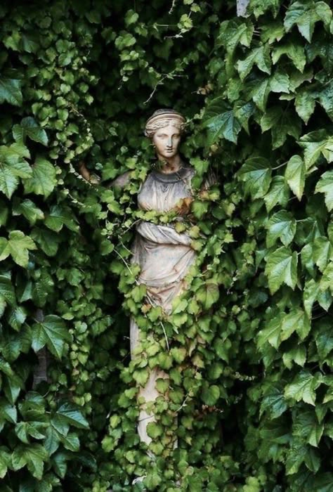 🪐✨ on Twitter: "happy thursday🪴… " Green Academia, Academia Aesthetics, Garden Show, Academia Aesthetic, Garden Statues, Nature Aesthetic, Green Aesthetic, Dream Garden, Secret Garden