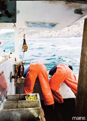 Maine fishermen Maine Fishing, Maine Aesthetic, Maine Winter, Frank Edwards, Aroostook County, Lobster Fishing, Monhegan Island, Rockwell Kent, Mermaid Shorts