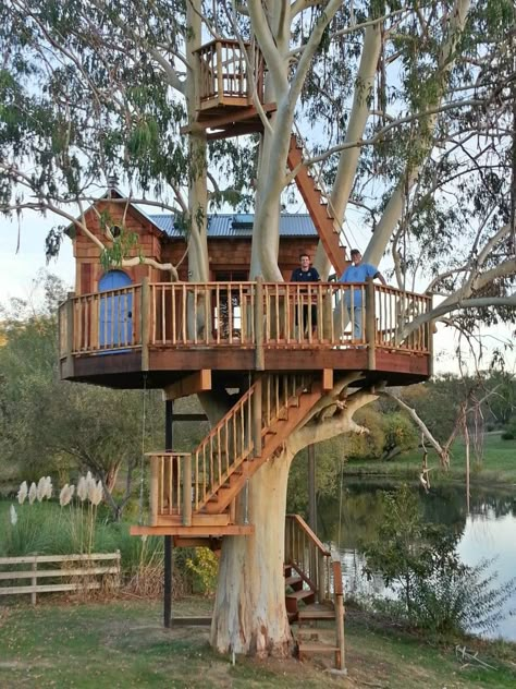 Backyard Treehouse, Beautiful Tree Houses, California Vineyards, Tree House Plans, Tree House Diy, Tree House Kids, Cool Tree Houses, Pretty Trees, Tree House Designs