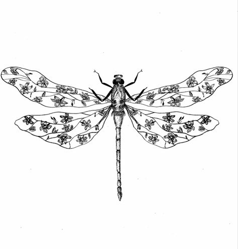 Dragonfly Knee Tattoo, Dragonfly Tatoos, Tattoo Dragonfly, Tattoo Aesthetics, Lil Drawings, Tattoos And Their Meanings, Dragonfly Drawing, Bat Shape, Artsy Tattoos