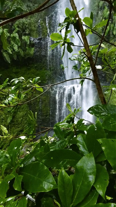 Waterfall Gif, Night Landscape Photography, Waterfall Scenery, Waterfall Pictures, Rainforest Animals, Beautiful Scenery Pictures, Couple Travel, Waterfall Photography, Night Landscape