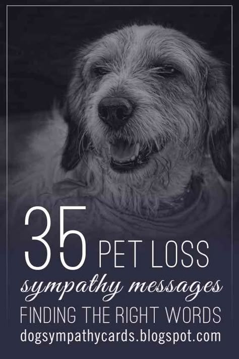 Visit: http://jagifts.us/PetLossSympathyMessages - Pet loss is losing part of one's family.  If you're looking for a wonderful sympathy message to add to card or to express sympathy to another on the loss of their pet, please check out these 35 pet sympathy messages. #petloss #sympathyverses #sympathymessages Sorry You Lost Your Dog Sympathy Cards, Sympathy For Dog Loss, Pet Sympathy Messages, Sympathy Card For Dog, Sympathy Loss Of Dog, Sayings For Loss Of Pet, Sorry For Loss Of Dog, Stampin Up Pet Sympathy Cards Dogs, Dog Loss Card