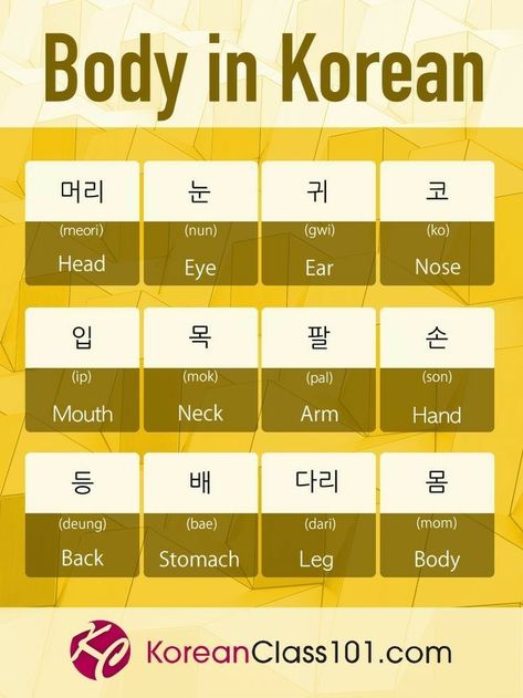 Parts Of The Body In Korean, Korean Speaking Practice, Body Parts In Korean, Body In Korean, Korean Practice, Struktur Teks, Learning Korean Grammar, Korean Slang, Korean Vocabulary