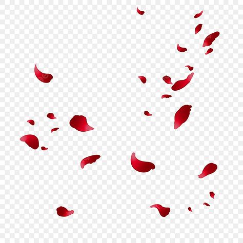 Png For Graphic Design, Alucard Edit, Rose Patels, Rose Transparent Background, Rose Petals Background, Rose Petals Drawing, Falling Flower Petals, Red Roses Png, Rose Flower Background