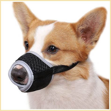 Mayerzon Dog Muzzle, Soft Muzzle for Small Medium Large Dogs Corgi Beagle and Golden Corgi Poodle, Dogs Corgi, Dog Muzzles, Dog Grooming Tips, Dog Muzzle, Grooming Tips, Diy Dog, Medium Dogs, Diy Dog Stuff