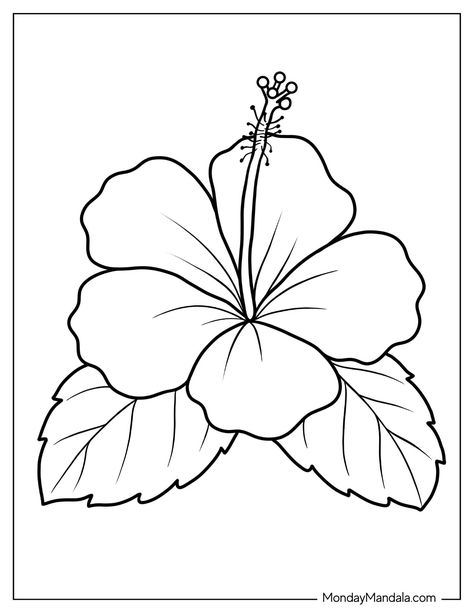 Easy Coloring Drawings, Printable Sunflower Coloring Page, Traceable Flower Drawings, Images To Color Free Printable, Hawaiian Flower Coloring Pages, Cute Drawing Ideas Easy Flowers, Printable Coloring Pages Flowers, Hibiscus Coloring Page, Coloring Sheets Summer