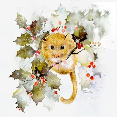 Rachel Mcnaughton | Advocate Art Christmas Watercolors, Animal Cartoons, Painting Leaves, Charity Christmas Cards, Mouse Art, Field Mouse, Christmas Card Art, Watercolor Prints, Advocate Art