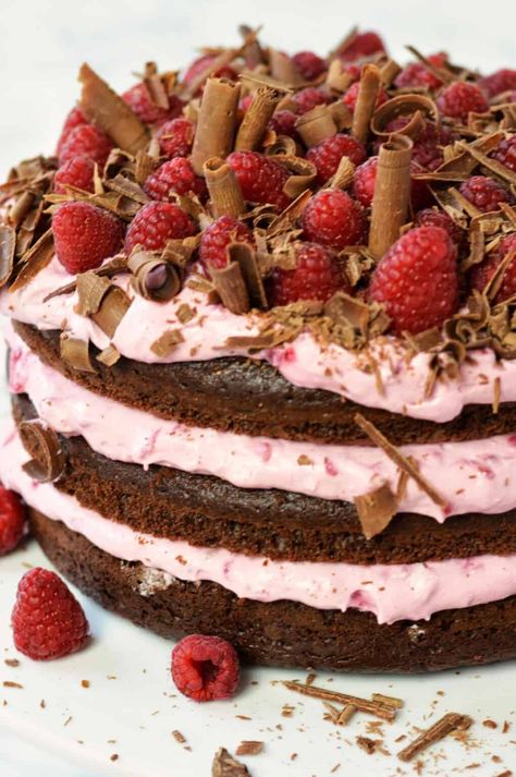 Raspberry Cheesecake Mousse, Raspberry Layer Cake, Chocolate Raspberry Mousse, Chocolate Raspberry Cake Recipe, Cake Nature, Chocolate Raspberry Mousse Cake, Raspberry Cake Recipes, Raspberry Mousse Cake, Raspberry Desserts