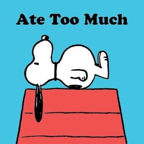 Ate too much...! Peanuts Quotes, Snoopy Funny, Snoopy Images, Peanuts Cartoon, Snoopy Quotes, Snoopy Pictures, Snoop Dog, Ate Too Much, Snoopy Love