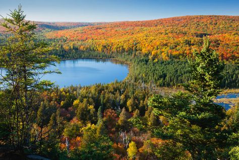 The Land of 10,000 Lakes is turning 157 years old today.  15 Things You Might Not Know About Minnesota | Mental Floss Temperate Deciduous Forest, Road Trip Adventure, Blue Lake, Leaf Nature, Autumn Landscape, Nature Reserve, Fall Foliage, Natural Environment, Outdoors Adventure