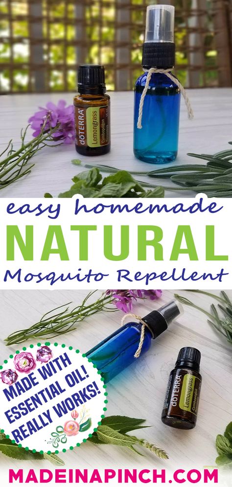 Essential Oils For Mosquitoes, Essential Oil Mosquito Repellent, Mosquito Repellent Essential Oils, Repellent Diy, Essential Oil Bug Spray, Diy Bug Repellent, Mosquito Repellent Homemade, Diy Mosquito Repellent, Natural Mosquito Repellent