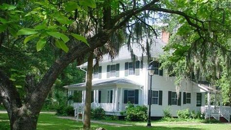 Curved Driveway, New Orleans Style Homes, St Helena Island, Antebellum Home, Greek Revival Architecture, House On The Beach, Greek Revival Home, Southern Plantations, Harrison Design