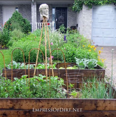 Grow a Front Yard Vegetable Garden With Flowers Raised Vegetable Gardens, Front Gardens, Potager Garden, Vegetable Gardens, Veg Garden, Vegetable Garden Design, Front Yard Garden, City Garden, Vegetable Gardening