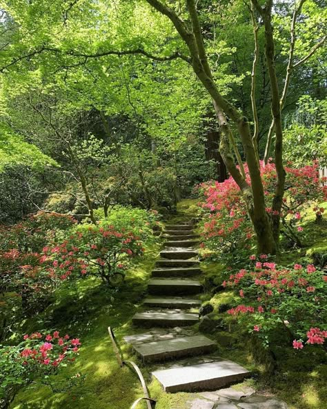 Portland Japanese Garden on Instagram: “April showers brought May flowers! While colors are not necessarily what a Japanese garden is about, flowers are treasured by the Japanese…” Farming Garden, Traditional Japanese Garden, Flowers Garden Aesthetic, Japanese Garden Aesthetic, Woodland Gardens, Japanese Garden Wedding, Japanese Gardens, Japanese Stroll Garden, Japanese Garden Painting