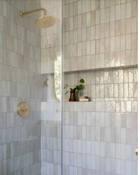 Master Shower Built In Shelf, Long Niche In Bathroom, Long Bathroom Niche, Arched Shower Shelf, Long Niche Bathroom, Horizontal Shower Niche Ideas, Shower With Built In Shelf, Long Horizontal Shower Niche, Shower Niche Above Bench