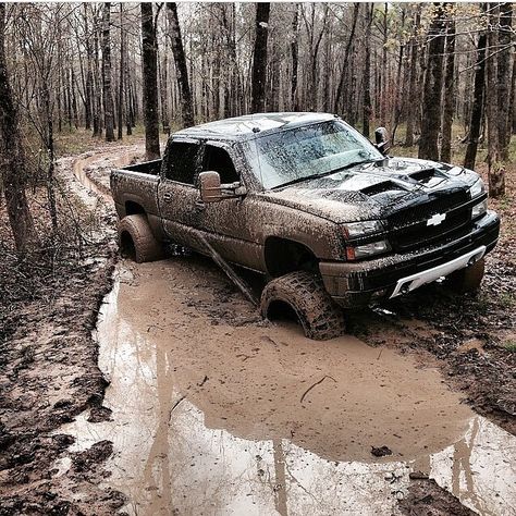 Dirty chevy truck // Gugli917 Follow my work and inspiration Pinterest : http://www.pinterest.com/gugli917/ Facebook : https://www.facebook.com/gugli917 Twitter : https://twitter.com/Gugli917 Instagram : http://instagram.com/gugli917 Tumblr : http://gugli917.tumblr.com Muddy Trucks, Impala Chevrolet, Trucks Lifted Diesel, Mud Trucks, Lifted Chevy, Lifted Chevy Trucks, Jacked Up Trucks, Truck Yeah, Gm Trucks