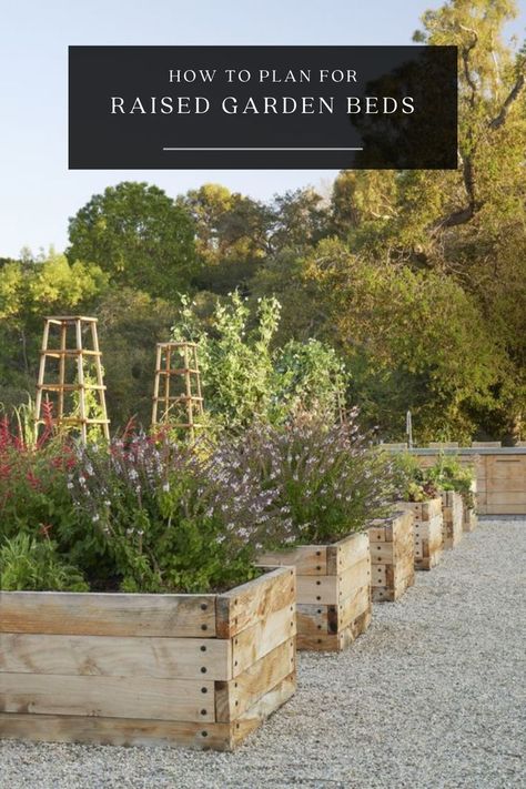 Want to create a stunning garden that's both beautiful and practical? Our latest post has all the tips and tricks for planning and building your own raised garden beds. #gardendesign #raisedbedgarden #DIY Low Raised Garden Beds, King Hezekiah, Backyard Raised Garden, Garden Bed Layout, Frame Cabin, Potager Garden, Veg Garden, Vegetable Garden Design, Diy Landscaping