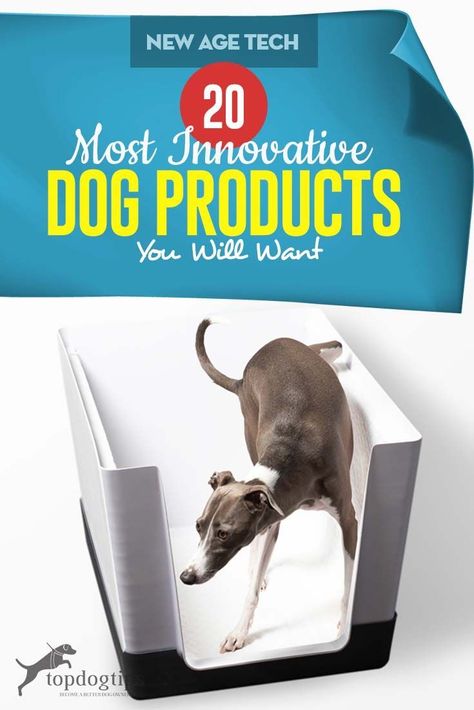 Pet Supply Organization, Animals And Pet Supplies, Dog Gadgets, Dogs Accessories, Survival Gardening, Urban Survival, Cool Dog, New Dog, Dog Products