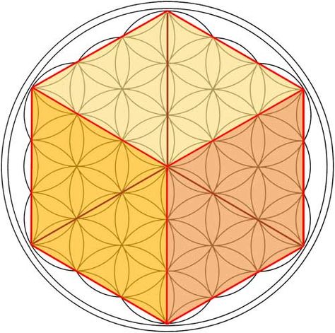 The flower of life holds a secret through which one can discover the most important and sacred pattern to all that exists in the universe. Triangular Numbers, Egg Of Life, Ancient Astrology, Flower Of Life Pattern, Laws Of Nature, Metatron's Cube, The Flower Of Life, Sacred Geometric, Metatrons Cube