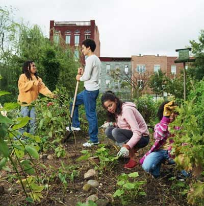 Volunteer Projects, Farm Landscape, Community Gardens, Garden Organization, Community Garden, Food Shopping, Middle Schoolers, School Garden, Community Center