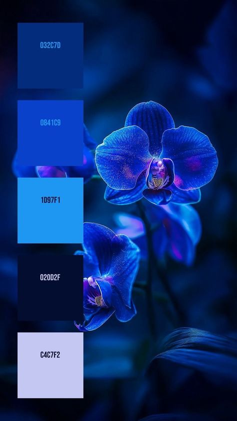 Fireworks Color Palette, Indigo Colour Palette, Witchy Color Palette, Blue And Purple Color Palette, Colour Palette Blue, Color Theories, Color Palette From Image, Color Knowledge, Black Color Palette