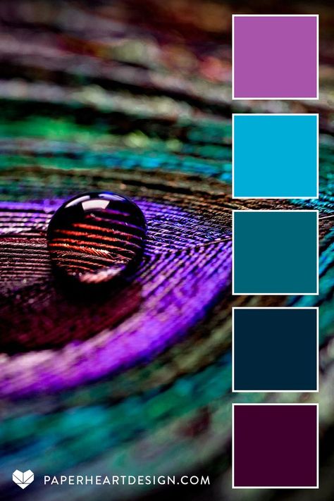 This peacock inspired color palette is part of the Macro Moisture Collection-- perfect for color combos to inspire your next design project, wedding colors, interior design, digital illustration, branding, & more! View hundreds of expertly designed color palettes on our blog! #colorpalette #procreate #colorscheme#color#colourpalette #colorinspiration #interiordesign #graphicdesign #weddingcolors #interiordesign#branding#design #fashion #hexcode #macro #jeweltone #peacock #droplet #feather Feather Color Palette, Maximalist Color Palette, Turquoise Color Combinations, Jewel Tone Color Palette, Palette Design, Color Schemes Colour Palettes, Jewel Tone Colors, Color Palate, Home Decor Living Room