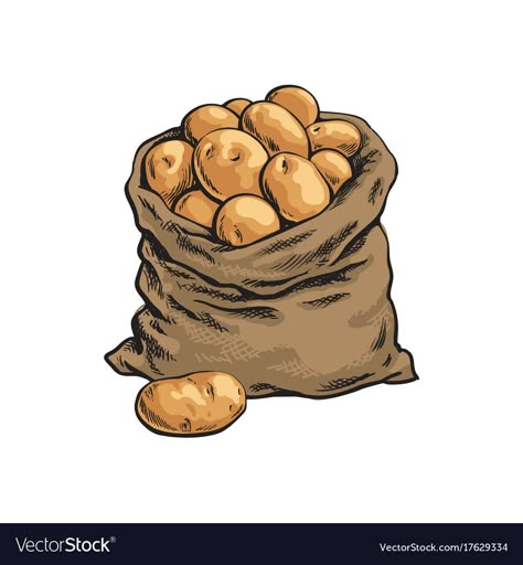 Potato Sketch, Sack Illustration, Sack Drawing, Potato Tattoo, Potato Drawing, Sack Of Potatoes, Potato Sacks, Potato Sack, Potato Bag