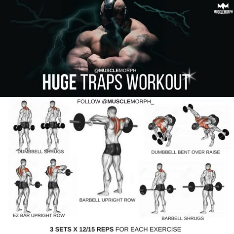 Trapecio Traps And Lats Workout, Back And Traps Workout, Shoulder Shrugs Workout, Bane Workout, Shrugs Workout, Traps Exercises, Shoulder And Trap Workout, Traps Workout, Weekly Workout Plans