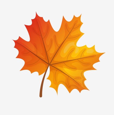 Fall Leaves Cartoon, Maple Leaf Images, Maple Leaf Clipart, Leaves Cartoon, Fall Leaves Drawing, Fall Leaves Png, Leaves Drawing, Cartoon Leaf, Fall Begins