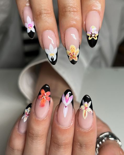 Hand painted orchids ✧ : *✧ ib @1.800.nailme :* ✧ *✧: #gelnails #nailinspo #nailinspiration #nailart #naildesigns #nailartinspo #nailsoftheday #gelx #gelxnails #apresgelx #handpaintednails Almond Unique Nails, Short Orchid Nails, Orchid Flower Nails, Black Orchid Nails, Orchid Nail Art, Orchid Nail Designs, 80s Nails 1980s, Painted Flower Nails, Tropical Nails Design