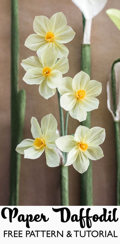 DIY Paper Daffodil Flower Tutorial Stunning Flowers, Daffodil Flower, Crepe Paper Flowers, Handmade Flowers Paper, Paper Flowers Craft, Tissue Paper Flowers, Giant Paper Flowers, Paper Flower Tutorial, Flower Template