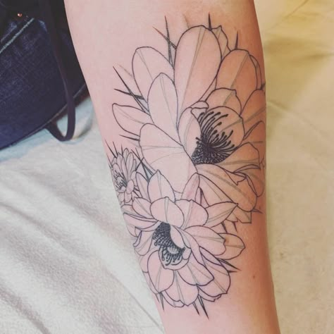 Cactus flower tattoo Cereus Flower Tattoo, Prickly Pear Flower Tattoo, Saguaro Cactus Blossom Tattoo, Cactus Flower Tattoo Desert Rose, Cholla Cactus Tattoo, Flower Cactus Tattoo, Cactus Flowers Tattoo, Cactus Bloom Tattoo, Saguaro Flower Tattoo