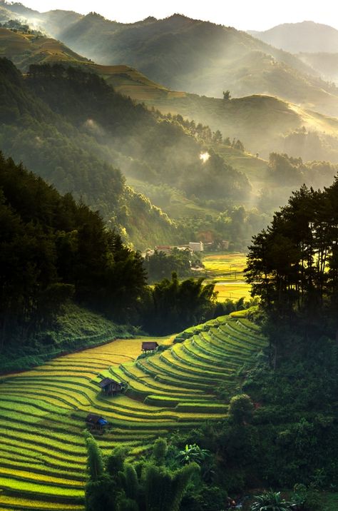 Vietnam Voyage, Rice Fields, Rice Terraces, Places In The World, Beautiful Places Nature, High Fantasy, Beautiful Places In The World, Alam Yang Indah, Vietnam Travel