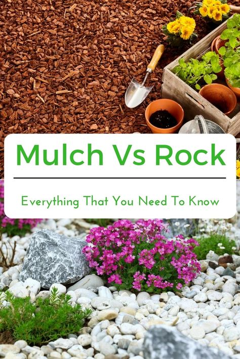 Rock Mulch, Rock Flower Beds, Garden Mulch, River Rock Garden, Rocks Landscaping, Mulch Landscaping, River Rock Landscaping, Hardscape Design, Farmhouse Landscaping