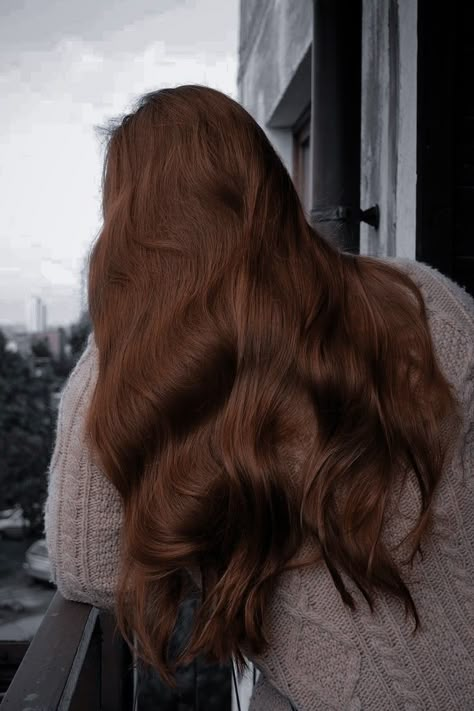 Dark Redhead Hair, Dark Ginger Hair Aesthetic, Dark Orange Hair, Chestnut Brown Hair, Chestnut Hair, Chocolate Brown Hair Color, Chestnut Hair Color, Red Hair Inspo, Brown Hair Looks